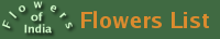 Flowers of India
